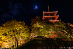 成相寺 ライトアップ 3