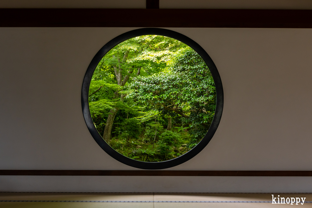 源光庵 悟りの窓