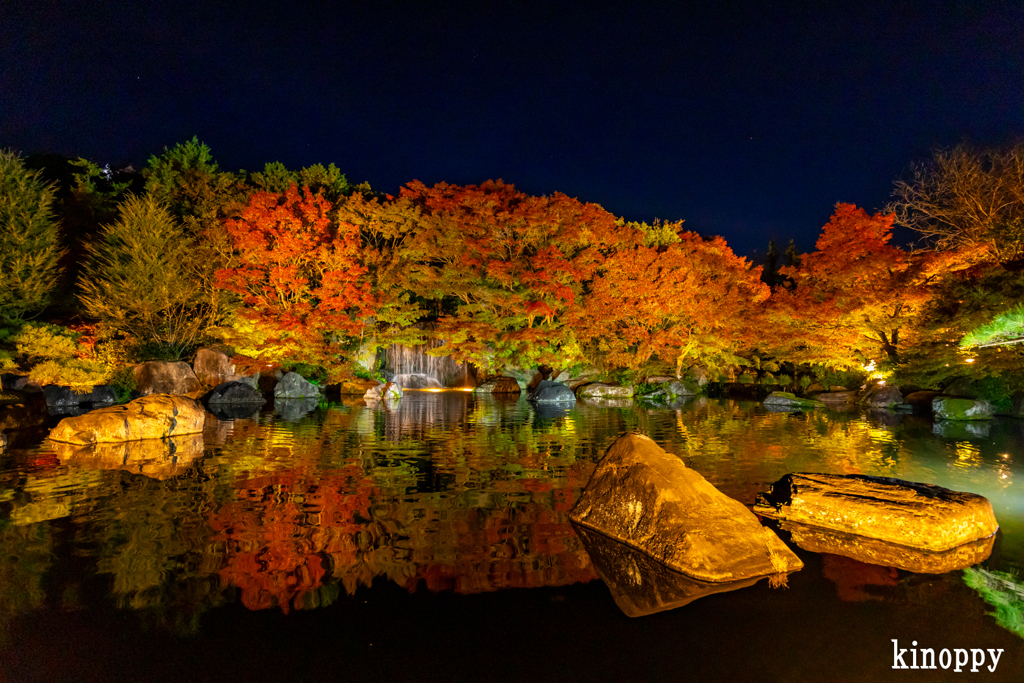 好古園 紅葉 ライトアップ