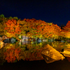 好古園 紅葉 ライトアップ