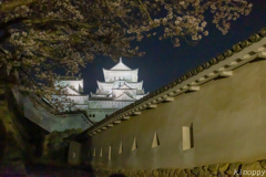 姫路城 和傘幻想 華灯り 10