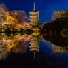 東寺 紅葉 ライトアップ