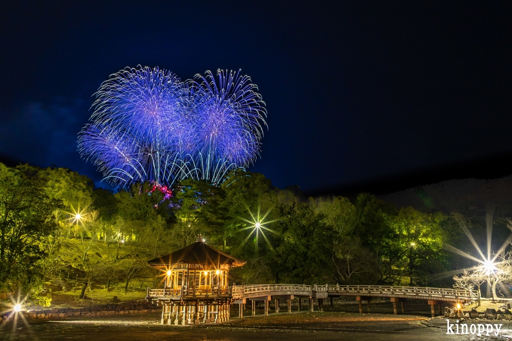 奈良公園バースデー花火 4