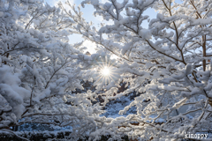三千院門前 雪景色 5