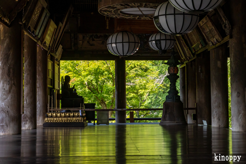 長谷寺 あぢさゐ回廊 8
