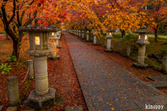 高山寺 紅葉 6