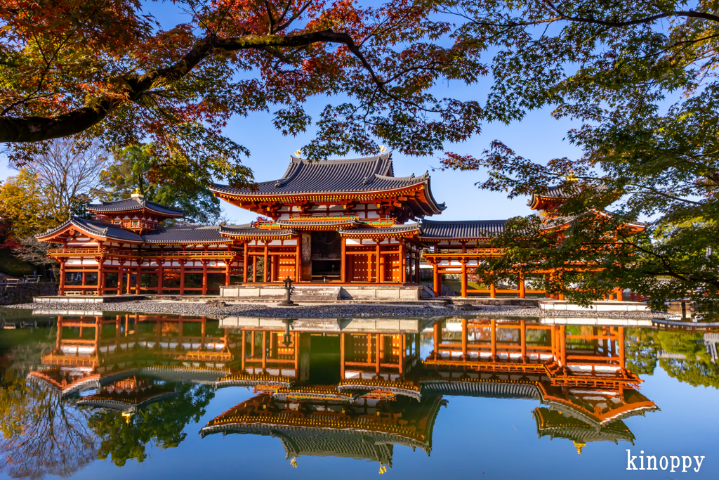 平等院 秋景色