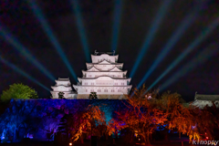 姫路城 シロノヒカリ 白鷺が輝く夜 6