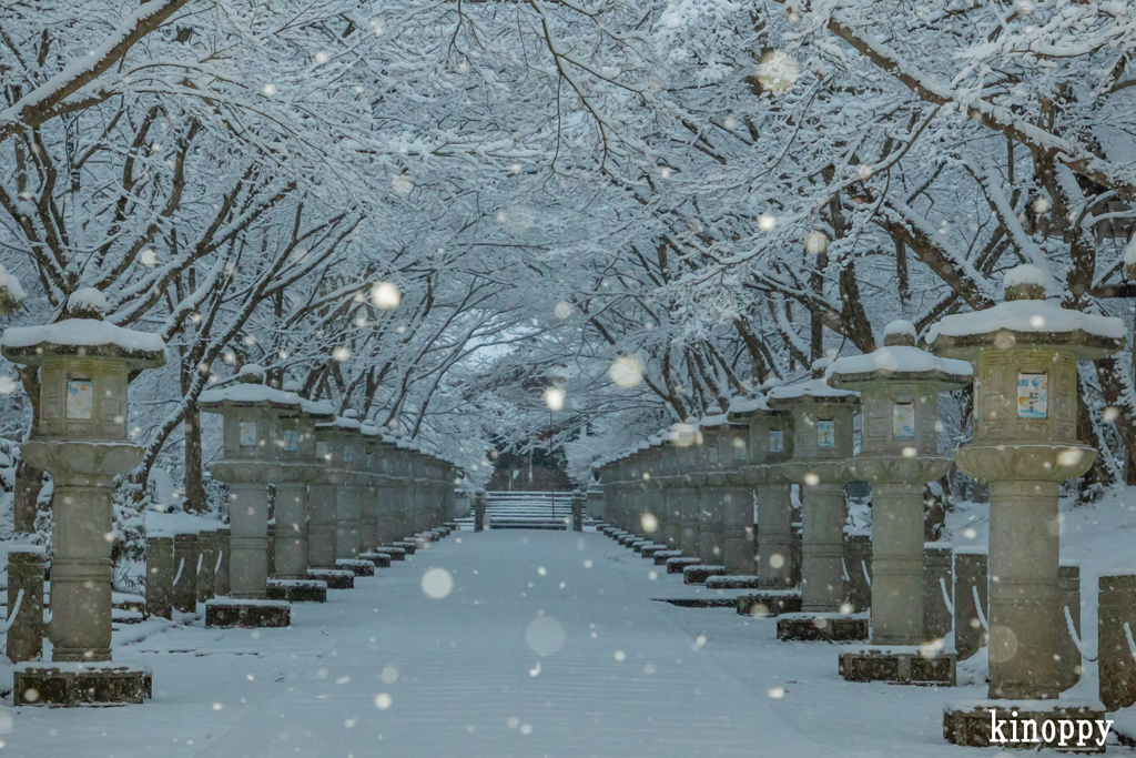 高山寺 雪景色 6