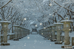 高山寺 雪景色 6