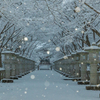 高山寺 雪景色 6