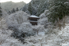 高源寺 冬景色 3