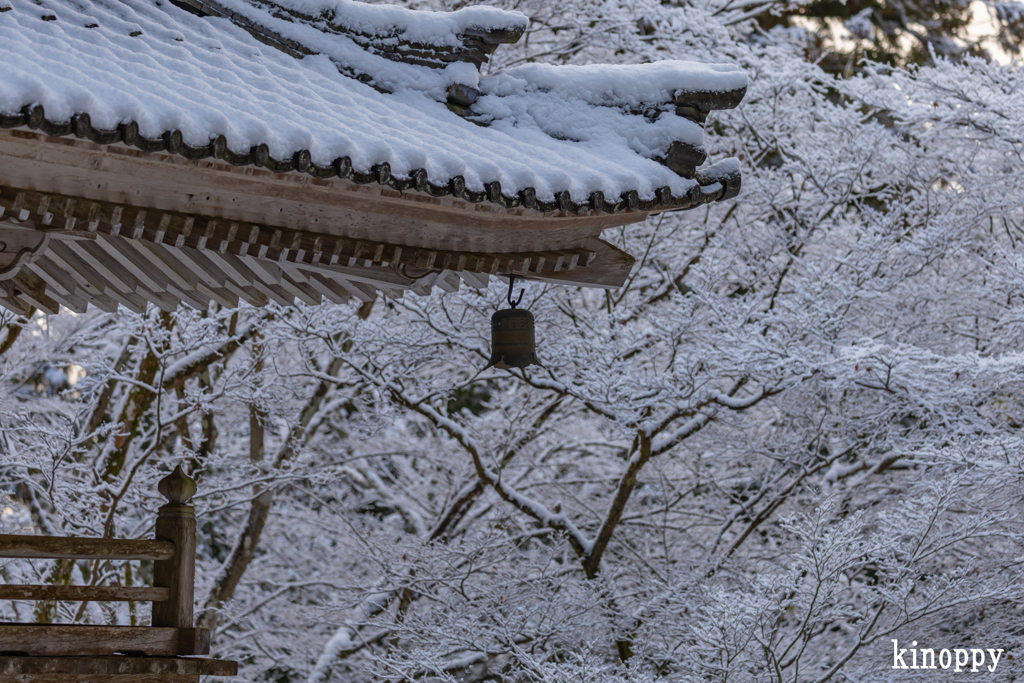 高源寺 雪景色 6
