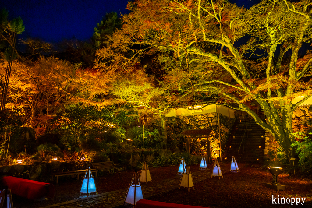 神蔵寺 ライトアップ 2