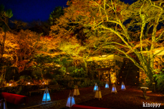 神蔵寺 ライトアップ 2