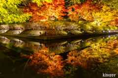 東寺 紅葉 9