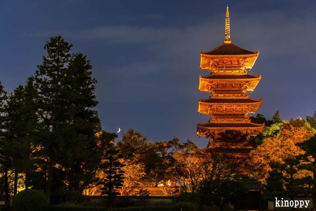 備中国分寺 ライトアップ 2