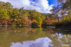 神戸森林植物園 紅葉