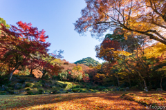 本吉山 清水寺本坊庭園 2
