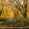 高源寺 紅葉 6