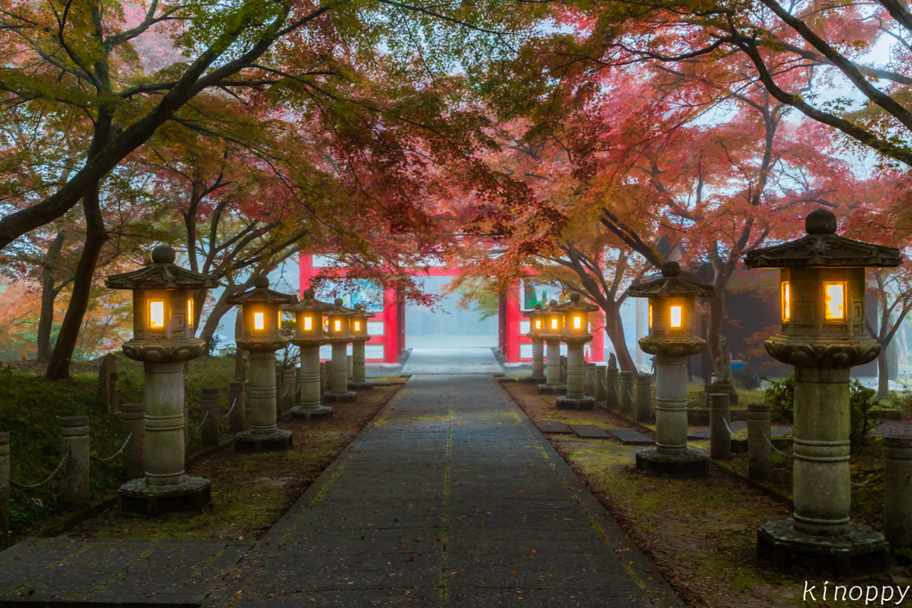 高山寺 紅葉 3