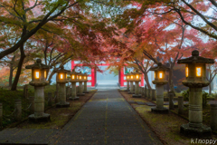 高山寺 紅葉 3