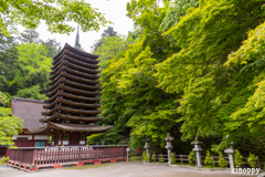 談山神社 新緑