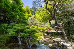 旧竹林院 6