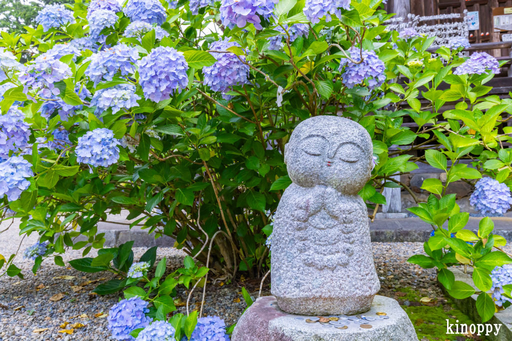 丹州観音寺 5