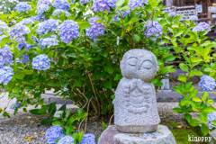丹州観音寺 5