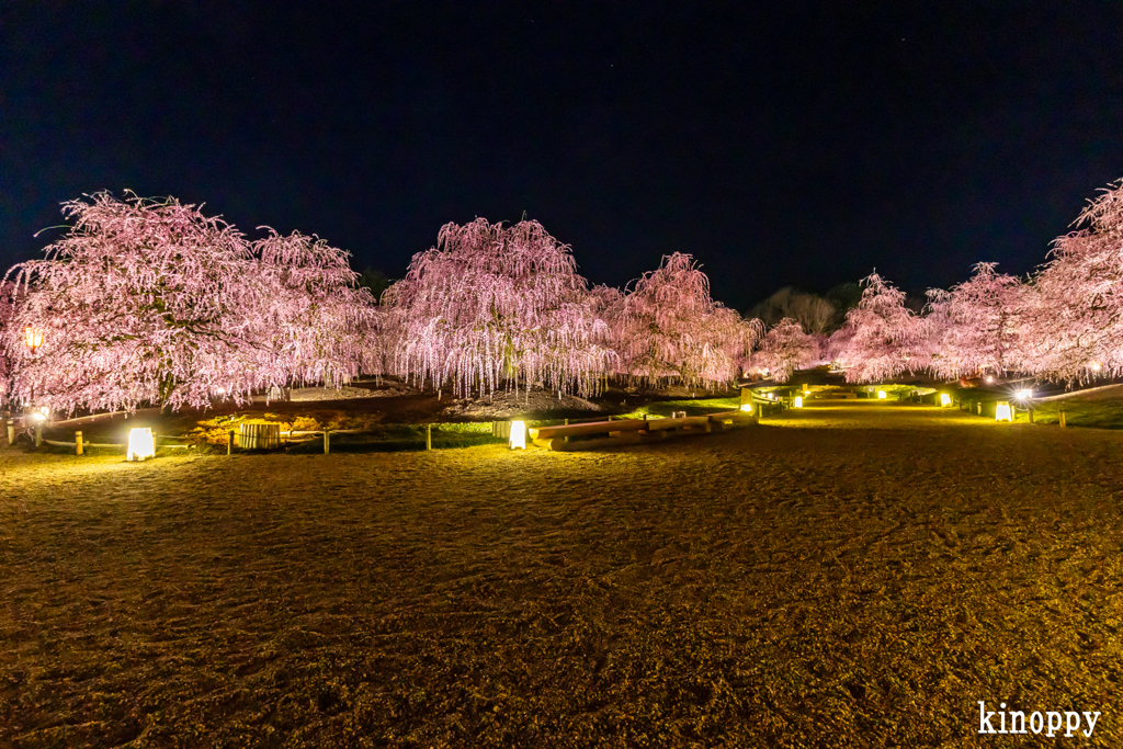 鈴鹿の森庭園 17