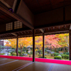 圓光寺 紅葉 3