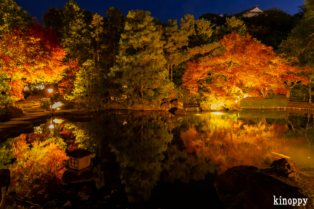 好古園 紅葉 ライトアップ 4