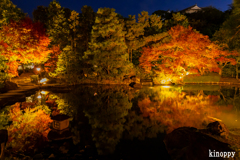 好古園 紅葉 ライトアップ 4