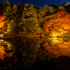 好古園 紅葉 ライトアップ 4