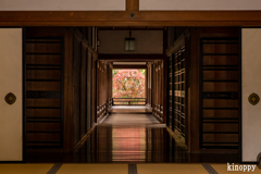 長谷寺 紅葉 8