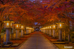 高山寺 紅葉 3