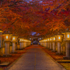 高山寺 紅葉 3
