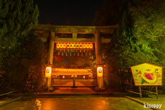 姫路靖國神社 新年万灯祭