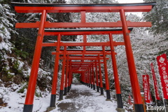 安志稲荷神社 雪景色 2