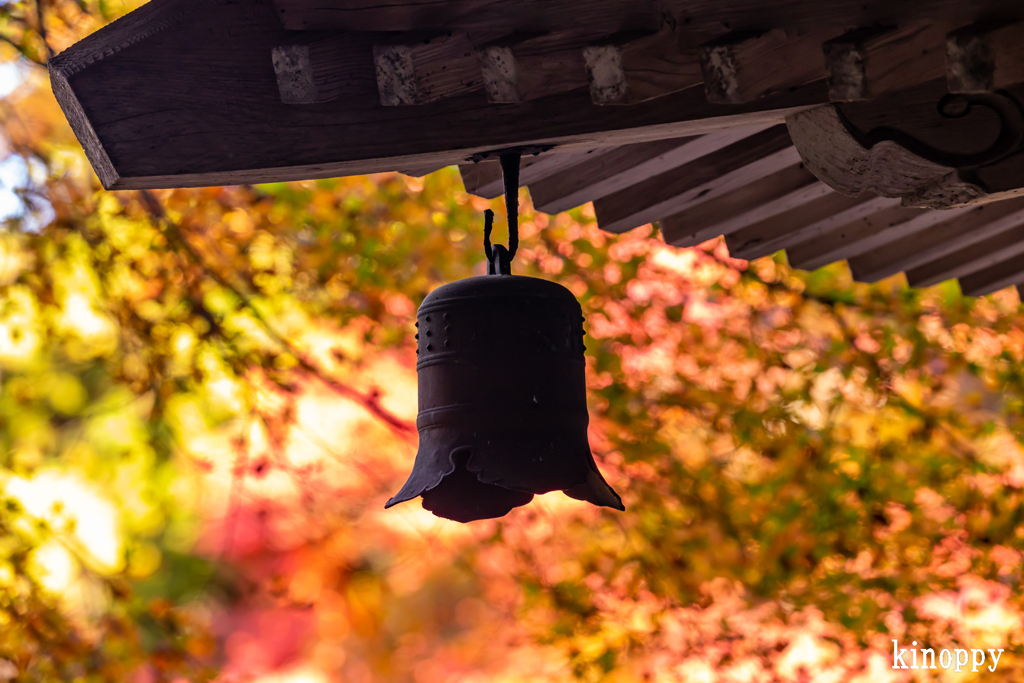 高源寺 紅葉 7