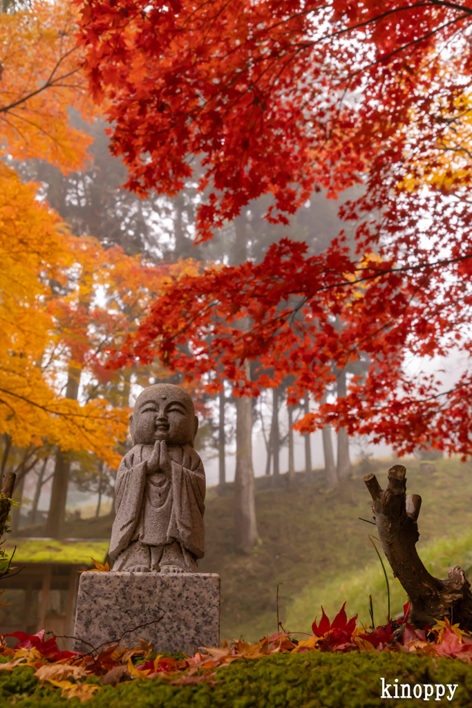 龍穏寺 紅葉 5