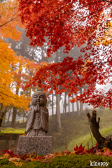 龍穏寺 紅葉 5