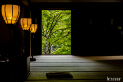 愛宕念仏寺 新緑 3