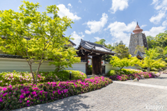 妙満寺 5