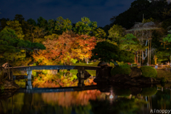 姫路城 好古園 紅葉 ライトアップ 3