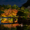 姫路城 好古園 紅葉 ライトアップ 3