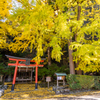 岩戸落葉神社 紅葉