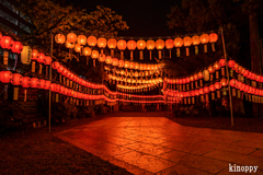 萱野神社 献灯祭 4