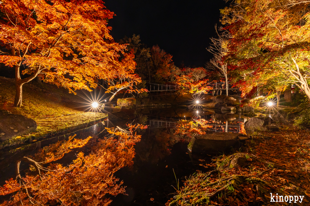 多可町余暇村公園 ライトアップ 2